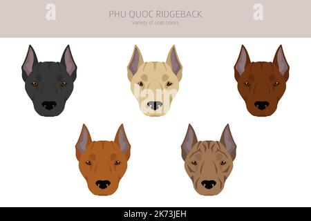 Phu Quoc Ridgeback Clipart. All Coat Colors Set. All Dog Breeds 