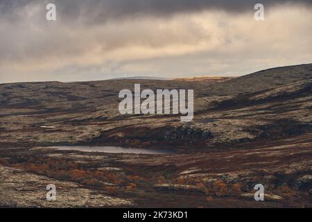 Tundra landscapes above Arctic circle in autumn season. Beautiful natural background. Stock Photo