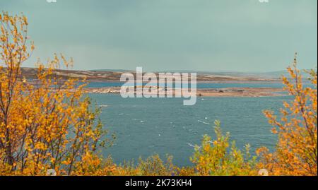 Tundra landscapes above Arctic circle in autumn season. Beautiful natural background. Stock Photo