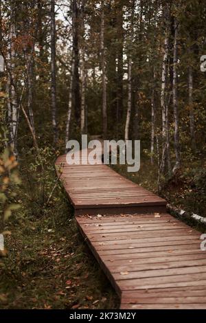 Sestroretsk swamp eco-trail without people, passing directly over the swamp, going into the forest. Autumn season Stock Photo