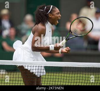 2016, Wimbledon, Centre Court, Women's Singles Final, Serena Williams (USA) v Angelique Kerber, (GER). Serena Williams celebrates. Stock Photo