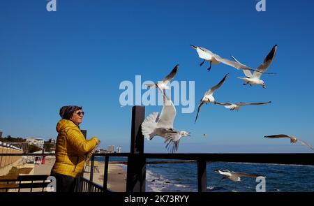 Mature pretty woman feeds seagulls on the playground with the background of the blue sky and the sea Stock Photo