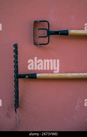 Pitchforks for Garden Work on a Wall Stock Photo