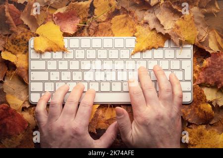 Freelance typing on the keyboard fingers close-up. work freelance programmer outdoor typing. keyboard computer in nature on the background of autumn o Stock Photo