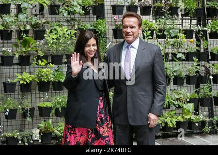 Former California Governor and founder of the Regions of Climate Action (R20), Arnold Schwarzenegger (R) poses with the Mayor of Paris Anne Hidalgo on April 28, 2017 in Paris, France. Schwarzenegger and Hidalgo signed a convention for cooperation between the C40 Cities Climate Leadership Group and the R20 organisation.  Stock Photo