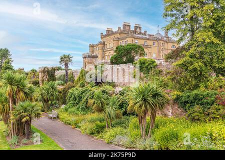 Palm trees in the gardens at Culzean Castle, South Ayrshire, Scotland UK Stock Photo