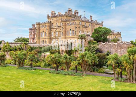 Palm trees in the gardens at Culzean Castle, South Ayrshire, Scotland UK Stock Photo