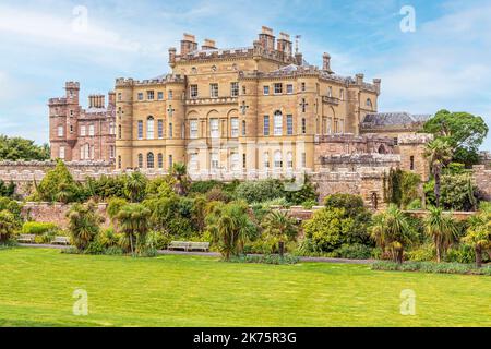 Palm trees in the gardens at Culzean Castle, South Ayrshire, Scotland UK Stock Photo