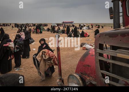 The Kurdish YPG of the coalition (Syrian Democratic Forces AKA SDF) are taking thousands of women and children of Daesh jihadists (ISIS) out of Baghouz, the last jihadist stronghold in Syria, in trucks to drop them at Al Hol camp a few hours away. Stock Photo