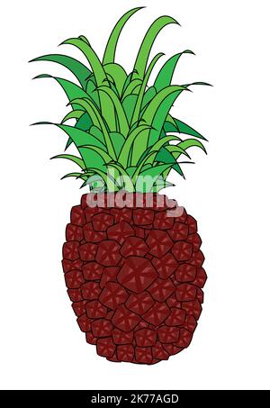 Colorful pineapple vector art design.Best graphic resources illustration. vector graphic design for icons and symbols and logo designing Stock Vector