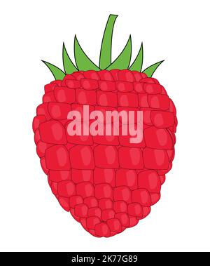 Colorful Raspberry vector design art. Best graphic resources illustration. vector graphic design for icons and symbols and logo designing Stock Vector