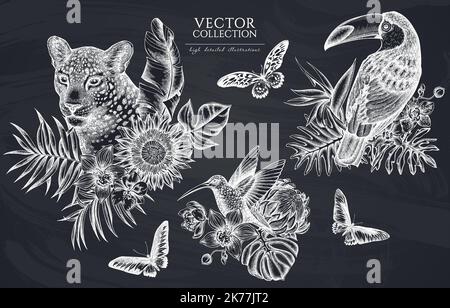 Tropical animals vintage illustrations collection. Hand drawn logo designs with leopard, hummingbird, toucan, rajah brooke's birdwing, african giant Stock Vector