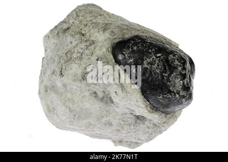 Apache tear (obsidian) from the USA isolated on white background Stock Photo