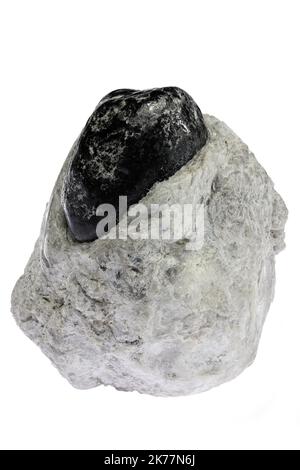 Apache tear (obsidian) from the USA isolated on white background Stock Photo