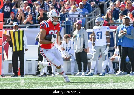 Detroit Lions tight end Hunter Thedford (49) in action against the Buffalo  Bills during an NFL preseason football game, Friday, Aug. 13, 2021, in  Detroit. (AP Photo/Rick Osentoski Stock Photo - Alamy