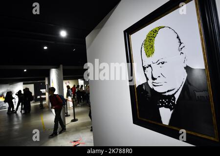 'The World of Banksy : The Immersive Experience' on display in Paris, France Stock Photo