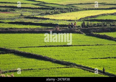 ©Arnaud De Grave / Le Pictorium/MAXPPP - Arnaud De Grave / Le Pictorium - 07/10/2016  -  Madagascar / Itasy  -  Paysage de l'Itasy.  / 07/10/2016  -  Madagascar / Itasy  -  Landscape from the Itasy region. Stock Photo