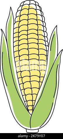 Corn Plant Isolated Outline Illustration Stock Vector Image & Art - Alamy