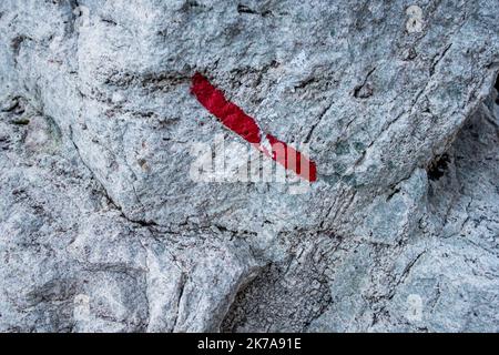 ©Michael Bunel / Le Pictorium/MAXPPP - Michael Bunel / Le Pictorium - 15/07/2020 - France / Provence-Alpes-Cote d'Azur - Repere de route sur des arbres et cailloux le long de la grande traversee. Cela aide les marcheurs a se localiser notamment quand plusieurs chemins se croisent. La croix indique un chemin a ne pas suivre. Pour la deuxieme annee consecutive, je suis le parcours de deux jeunes parisiens, christopher et Edouard sur le GR5. Ils ont sont repartis de Modane ou ils etaient arrives l'annee derniere pour se rendre jusqu'a Saint Paul sur Ubaye. Un parcours d'une centaine de kilometres Stock Photo