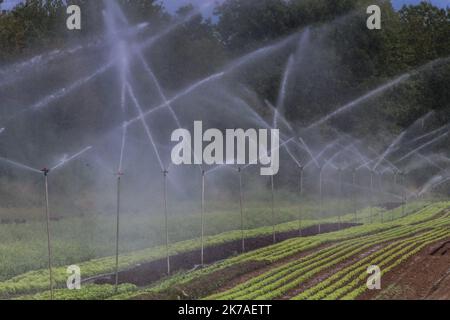 ©PHOTOPQR/LE REPUBLICAIN LORRAIN/Pierre HECKLER ; Thionville ; 13/08/2020 ; Illustration secheresse et agriculture - agriculture, irrigation Stock Photo