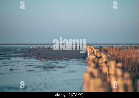 Mudflats at low tide in Friedrichskoog, Germany. High quality photo Stock Photo