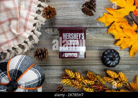 New Hope, Minnesota - October 6, 2022: Fall autumn flatlay top down view, featuring Hershey's Cocoa, plaid fabric pumpkins, maple leaves, and dried fl Stock Photo