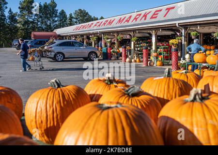 Jaemor Farm Market pumpkin harvest display at Jaemor Farms, a popular fresh produce destination for locals and tourists alike in Alto, Georgia. (USA) Stock Photo