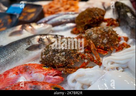 Assortment of fresh daily catch of fishes, seashells, molluscs on fish ...
