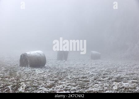 Agricultural field with bales in cold winter frost and fog Stock Photo