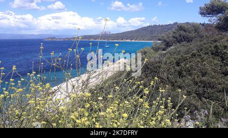 ©B. ROMANKIEWICZ/MAXPPP - 13/05/2021 - ILE DE PORQUEROLLES (VAR) LA SAISON ESTIVALE EST OUVERTE AVEC UN WEEK END PROLONGE PEU APRES LE DECONFINEMENT. LA PLUS GRANDE DES ILES D'-HYERES EST UNE DESTINATION TOURISTIQUE DE CHOIX PARC NATIONAL - Porquerolles island, in south eastern France, mau 13th 2021. Porquerolles is the biggest of the three islands of Or in the -Hyeres gulf. Seven km long and 3km wide, Porquerolles is the most popular, with the largest population..  Stock Photo