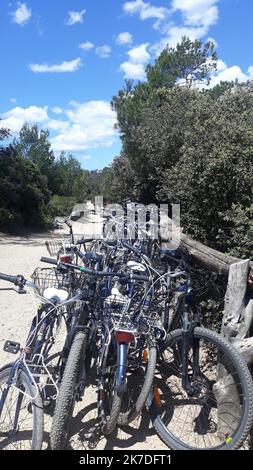 ©B. ROMANKIEWICZ/MAXPPP - 13/05/2021 - ILE DE PORQUEROLLES (VAR) LA SAISON ESTIVALE EST OUVERTE AVEC UN WEEK END PROLONGE PEU APRES LE DECONFINEMENT. LA PLUS GRANDE DES ILES D'-HYERES EST UNE DESTINATION TOURISTIQUE DE CHOIX LES VELOS : L'OPPORTUNITE DE FAIRE LE TOUR DE L'ILE, INTERDITE A LA CIRCULATION CAR SITUEE A 90ù EN ZONE PARC NATIONAL, EN UNE JOURNEE - Porquerolles island, in south eastern France, mau 13th 2021. Porquerolles is the biggest of the three islands of Or in the -Hyeres gulf. Seven km long and 3km wide, Porquerolles is the most popular, with the largest population.. Cars are  Stock Photo