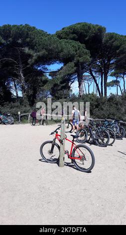 ©B. ROMANKIEWICZ/MAXPPP - 13/05/2021 - ILE DE PORQUEROLLES (VAR) LA SAISON ESTIVALE EST OUVERTE AVEC UN WEEK END PROLONGE PEU APRES LE DECONFINEMENT. LA PLUS GRANDE DES ILES D'-HYERES EST UNE DESTINATION TOURISTIQUE DE CHOIX LES VELOS : L'OPPORTUNITE DE FAIRE LE TOUR DE L'ILE, INTERDITE A LA CIRCULATION CAR SITUEE A 90ù EN ZONE PARC NATIONAL, EN UNE JOURNEE - Porquerolles island, in south eastern France, mau 13th 2021. Porquerolles is the biggest of the three islands of Or in the -Hyeres gulf. Seven km long and 3km wide, Porquerolles is the most popular, with the largest population.. Cars are  Stock Photo