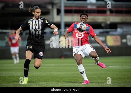 Aurelien Morissard / IP3; LOSC Lille's Jonathan DAVID plays a ball against Angers SCO's Mateo PAVLOVIC during the French championship Ligue 1 football match between Lille Olympique Sporting Club (LOSC) and Angers sporting club de l'Ouest (Angers SCO) on May 23, 2021 at Raymond Kopa stadium in Angers, France. Stock Photo
