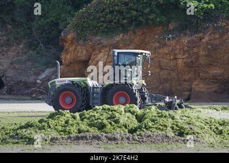 ©PHOTOPQR/OUEST FRANCE/QUEMENER YVES-MARIE ; Douarnenez ; 21/06/2021 ; Ramassage d'algues vertes sur la plage du ris à Douarnenez ( finistère ) Photo YVES-MARIE QUEMENER - Collection of green algae on the beach of the reef in Douarnenez  Stock Photo