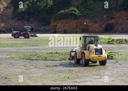 ©PHOTOPQR/OUEST FRANCE/QUEMENER YVES-MARIE ; Douarnenez ; 21/06/2021 ; Ramassage d'algues vertes sur la plage du ris à Douarnenez ( finistère ) Photo YVES-MARIE QUEMENER - Collection of green algae on the beach of the reef in Douarnenez  Stock Photo