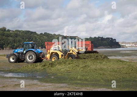 ©PHOTOPQR/OUEST FRANCE/QUEMENER YVES-MARIE ; Douarnenez ; 21/06/2021 ; Ramassage d'algues vertes sur la plage du ris à Douarnenez ( finistère ) Photo YVES-MARIE QUEMENER - Collection of green algae on the beach of the reef in Douarnenez  Stock Photo