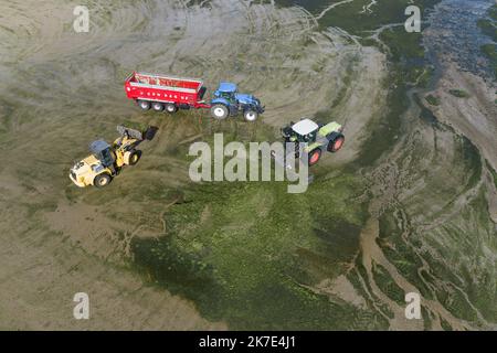 ©PHOTOPQR/OUEST FRANCE/QUEMENER YVES-MARIE ; Douarnenez ; 21/06/2021 ; Ramassage d'algues vertes sur la plage du ris à Douarnenez ( finistère ) Photo YVES-MARIE QUEMENER - Collection of green algae on the beach of the reef in Douarnenez  Stock Photo