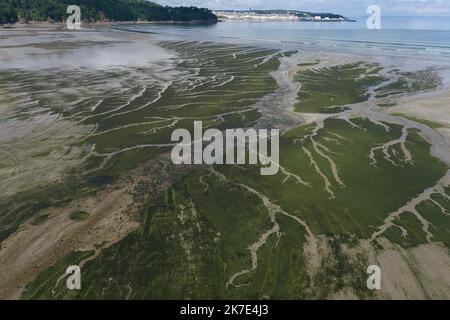 ©PHOTOPQR/OUEST FRANCE/QUEMENER YVES-MARIE ; Douarnenez ; 21/06/2021 ; Ramassage d'algues vertes sur la plage du ris à Douarnenez ( finistère ) Photo YVES-MARIE QUEMENER - Collection of green algae on the beach of the reef in Douarnenez  Stock Photo