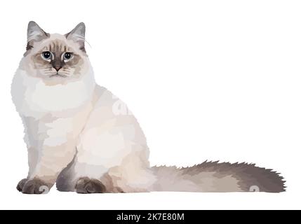 Realistic vector white cat. Cat with blue eyes and fluffy tail, sitting and looking in camera. Front view illustration Stock Vector