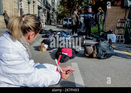 Â©PHOTOPQR/SUD OUEST/guillaume bonnaud ; Bordeaux ; 05/11/2021 ; LE 6 NOVEMBRE 2021 / A BORDEAUX / LE PROFESSEUR RAOULT A LA CHAMBRE DISCIPLINAIRE DE L'ORDRE DES MEDECINS DE BORDEAUX , IL SERA ENTENDU DEVANT LA CHAMBRE DISCIPLINAIRE DE NOUVELLE AQUITAINE DE L'ORDRE DES MEDECINS DE BORDEAUX / IL SERA AVEC SON AVOCAT MAITRE FABRICE DI VIZIO / Ph Guillaume Bonnaud - Bordeaux, France, nov 5th 2021. Outspoken Marseille doctor-professor Didier Raoult, 69, heard at Medecine Cuoncil. The infectious disease expert is well-known for his intellect and strong opinions - and controversially advocated use  Stock Photo