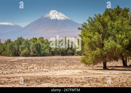 Licancabur at sunny day, Atacama, volcanic landscape, Chile, South America Stock Photo