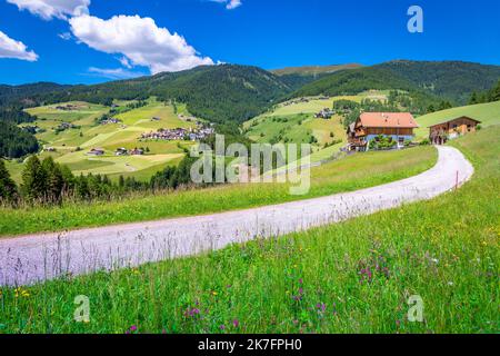 Country road in Gardena pass, Dolomites alpine landscape in Northern Italy Stock Photo