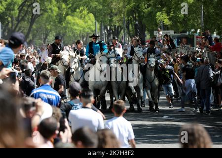 ©PHOTOPQR/LA PROVENCE/REY Jérôme ; Avignon ; 17/04/2022 ; Arles Feria de paques festival d'abrivado chevaux et taureaux traditions camarguaises camargue gardians Stock Photo