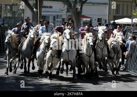 ©PHOTOPQR/LA PROVENCE/REY Jérôme ; Avignon ; 17/04/2022 ; Arles Feria de paques festival d'abrivado chevaux et taureaux traditions camarguaises camargue gardians Stock Photo