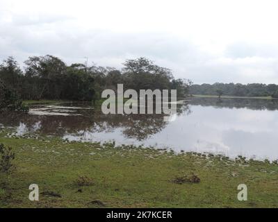 Beautiful landscape shorts in Sri Lanka Stock Photo