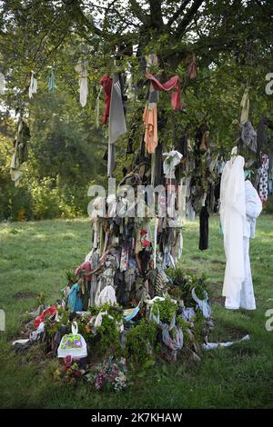 ©PHOTOPQR/VOIX DU NORD/PIERRE ROUANET ; 04/10/2022 ; Hasnon, le 04/10 ...