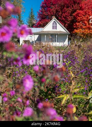 Grant Wood's American Gothic House, Eldon, Iowa, bright fall colors, blue sky, October day Stock Photo