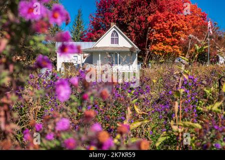 Grant Wood's American Gothic House, Eldon, Iowa, bright fall colors, blue sky, October day Stock Photo