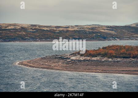 Tundra landscapes above Arctic circle in autumn season. Beautiful natural background. Stock Photo