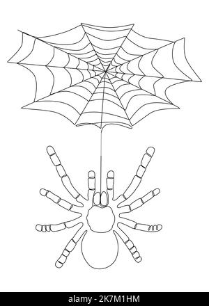 One continuous line of spider and its web. Thin Line Illustration vector concept. Contour Drawing Creative ideas. Stock Vector